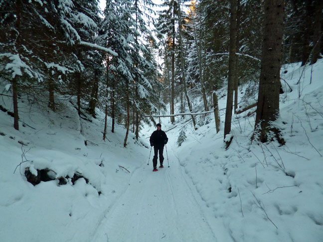 sneeuwschoen2.jpg