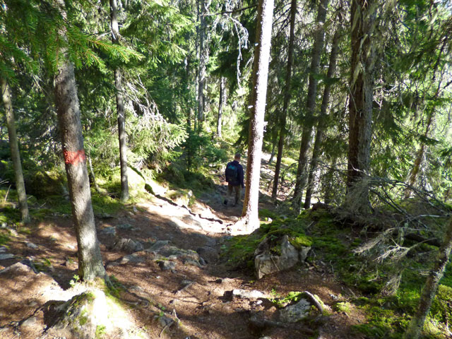 wandelen1.jpg