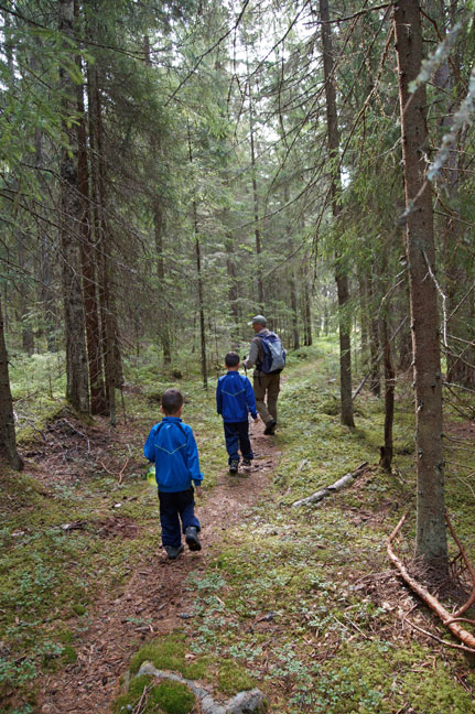 wandelen4.jpg