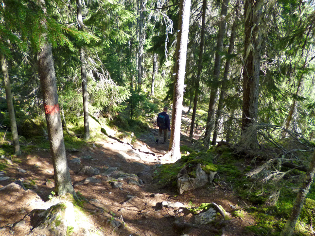 wandelen-5.jpg