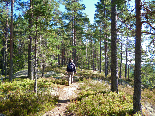 wandelen-6.jpg