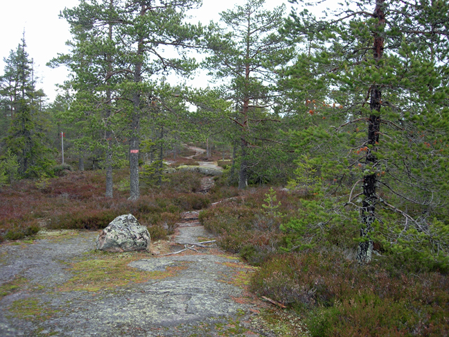 wandelen-7.jpg