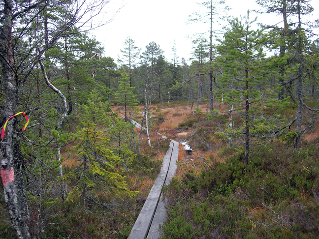 wandelen-8.jpg