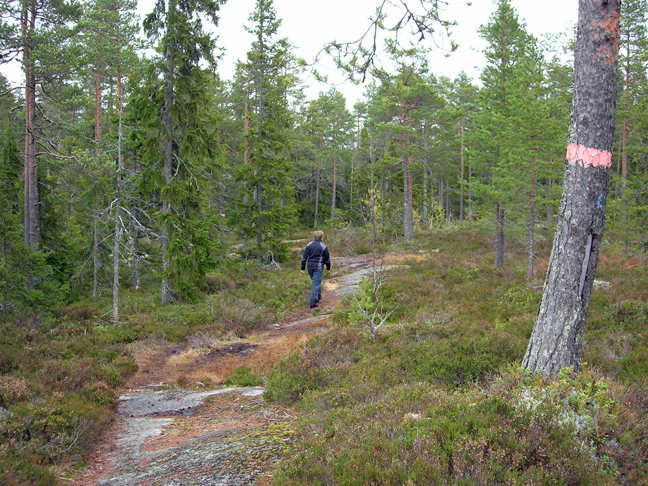 wandelen-9.jpg