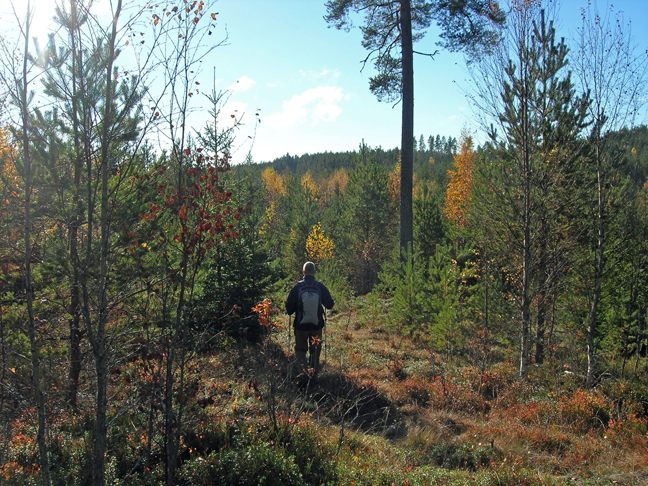 wandelen-11.jpg