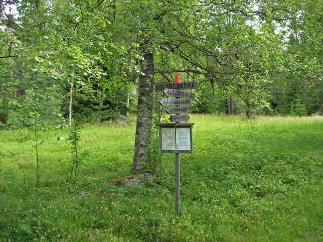 wandelen-12.jpg